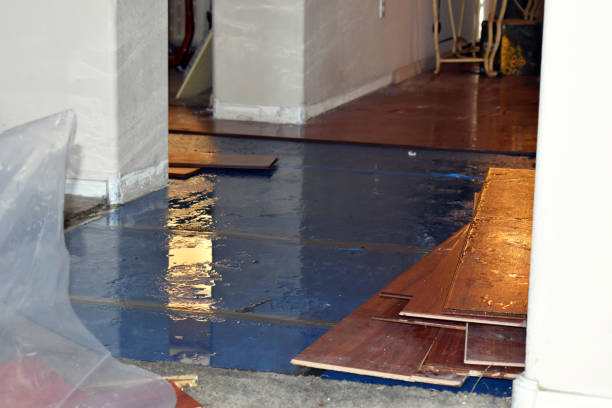 Professional Basement Flood Cleanup technician working in Carthage, IL